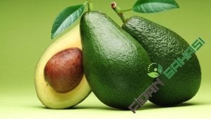 AŞILI TÜPLÜ 2 YAŞ ZUTANO  AVOKADO BOY 60-90 CM