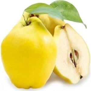 TÜPLÜ AŞILI LİMON AYVA FİDANI