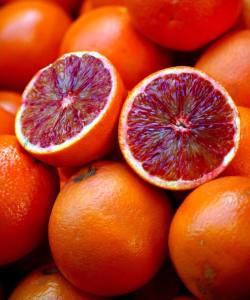 TÜPLÜ AŞILI RED BLOOD ORANGE PORTAKAL FİDANI 2 YAŞ  90-110 CM BOY