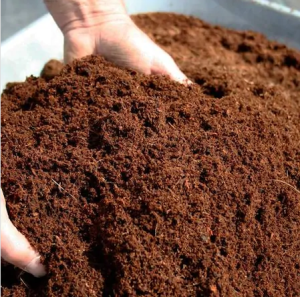 TORF TOPRAĞI 15 LİTRE