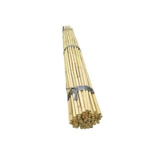 Fidan Destek Çubuğu Kamış 140-150cmBOY 10 ADET