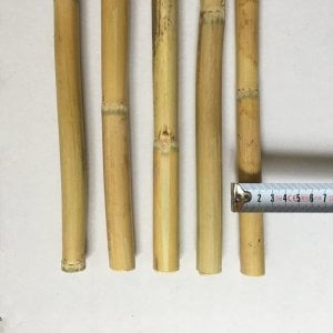 Fidan Destek Çubuğu Kamış 180-190cm BOY 10 ADET