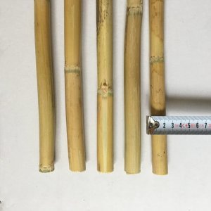Fidan Destek Çubuğu kamış 80-90cm 25 adet