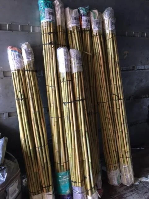 50 ADET 180-190CM FİDAN DESTEK ÇUBUĞU (KAMIŞ)